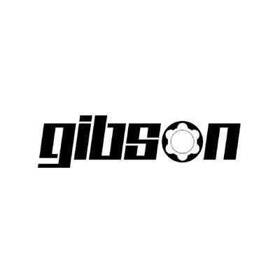 gibson                                    