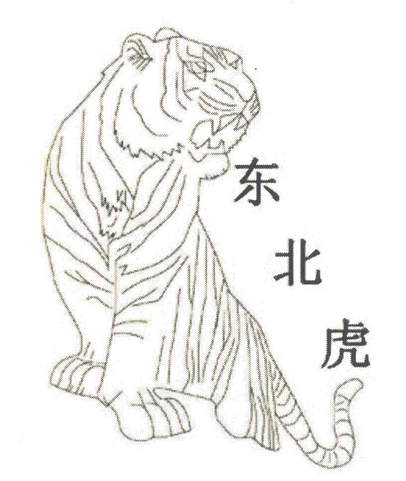 东北虎简笔画 凶猛图片