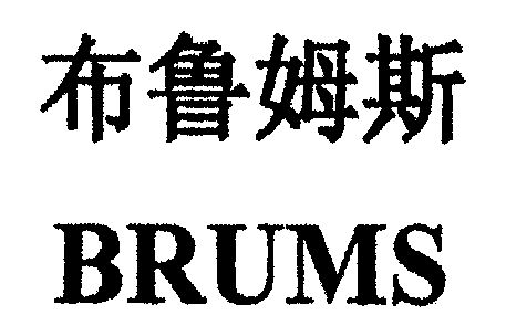 布鲁姆斯; em>brums /em>