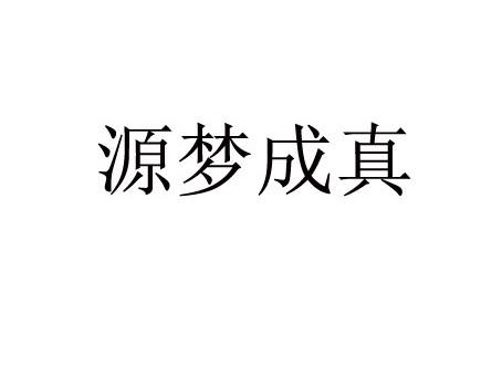 源梦logo图片