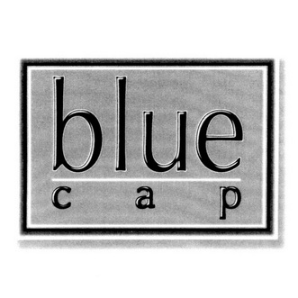 bluecap 企业商标大全 商标信息查询 爱企查