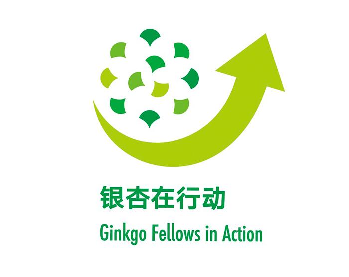 银杏在行动 ginkgo fellows in action