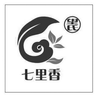  em>望氏 /em>七里香