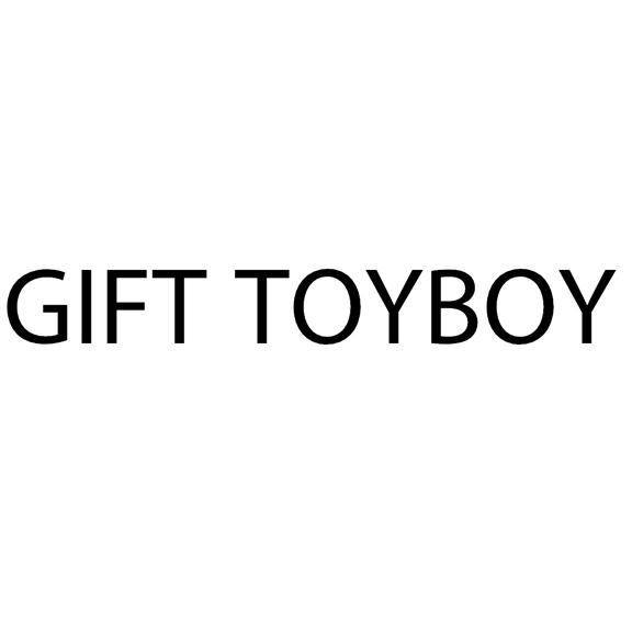  em>gift /em>toy em>boy /em>