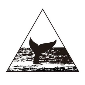 黑鲸文化传播有限公司申请人名称(英文)-申请人地址(中文)浙江省嘉兴