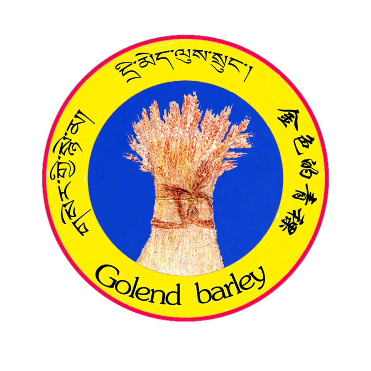  em>金色 /em>的 em>青稞 /em> golend barley