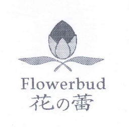 em>花蕾/em em>flower/em em>bud/em>