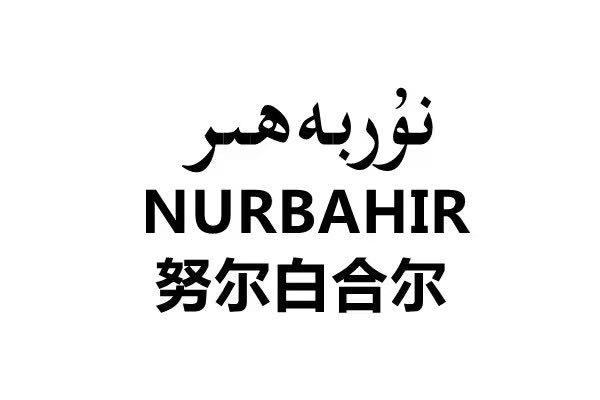  em>努尔白 /em> em>合尔 /em>