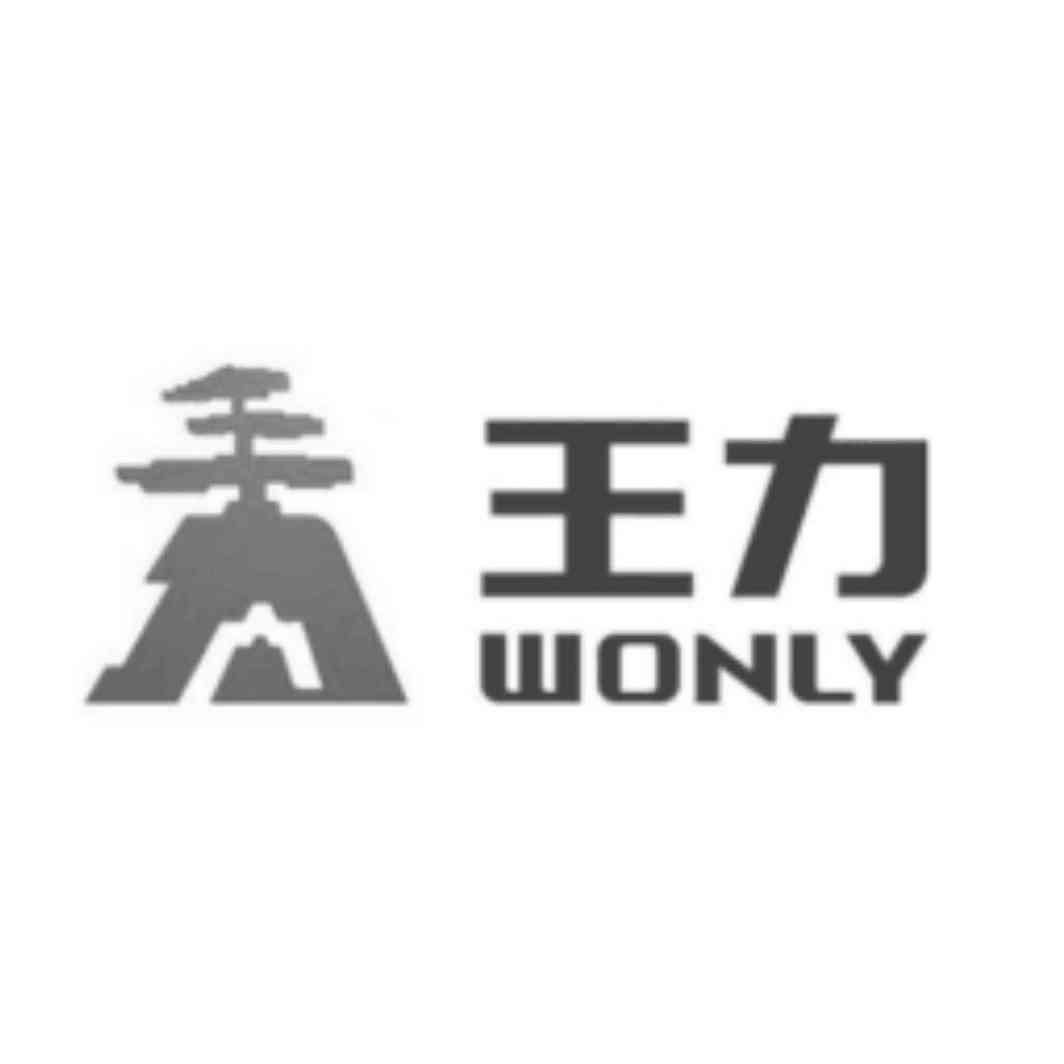 王力 em>wonly/em>