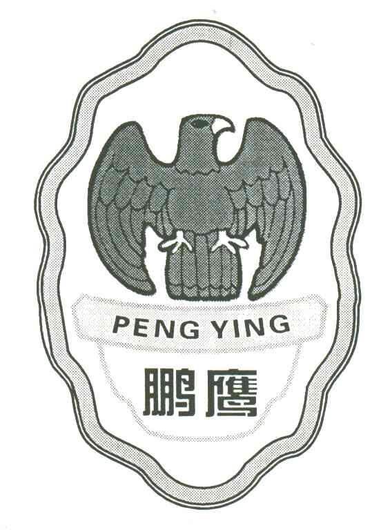 鹏鹰;peng ying