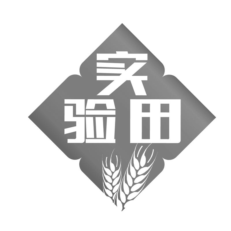 logo是田字的首饰图片