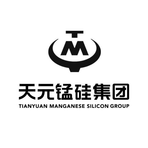  em>天元 /em>锰业 em>集团 /em>