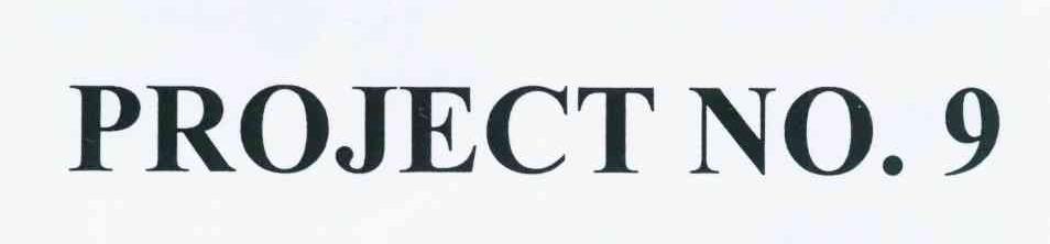 em>project/em no em>9/em>