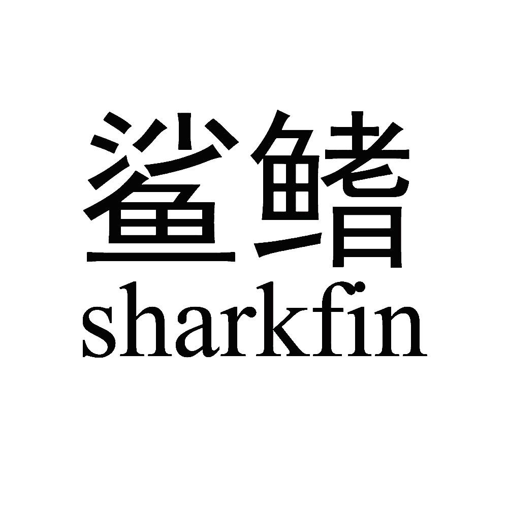  em>鲨 /em> em>鳍 /em>  em>shark /em> em>fin /em>