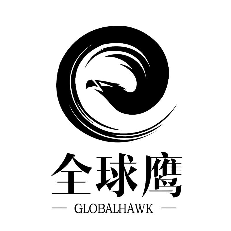 全球鹰  em>global /em> em>hawk /em>