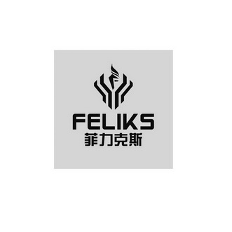 菲力克斯 em>feliks/em>