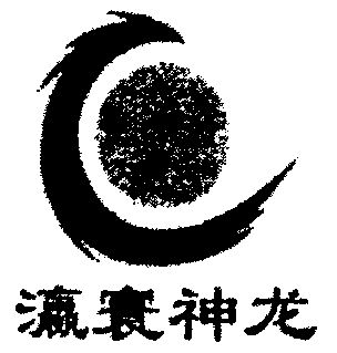  em>瀛寰 /em> em>神龙 /em>