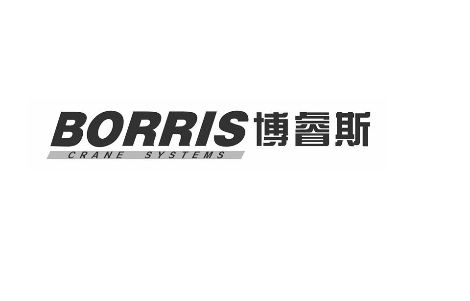 博睿斯 em>borris/em crane systems