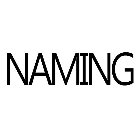  em>naming /em>