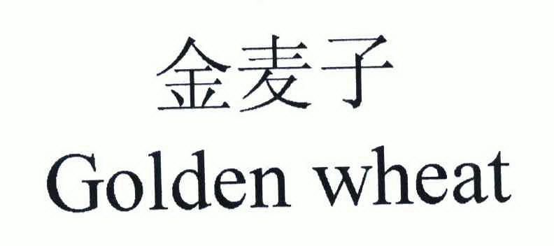 金麦子 em>golden/em em>wheat/em>