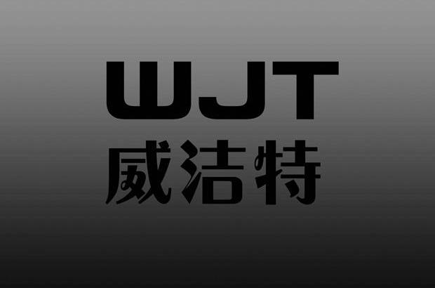 威洁特 em>wjt/em>