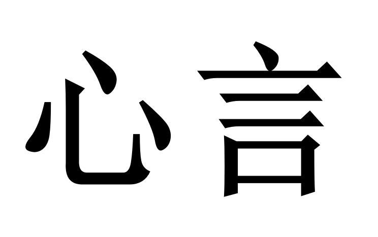 长沙市心言会计服务有限公司