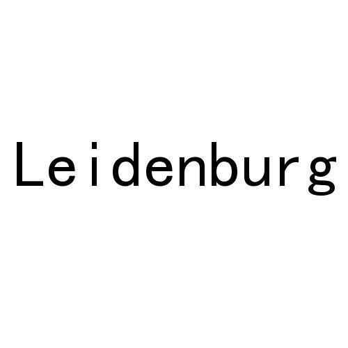 leidenburg                                