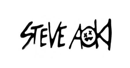  em>steve /em> aoki