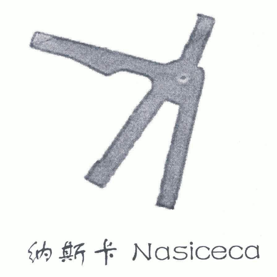 纳斯卡;nasiceca