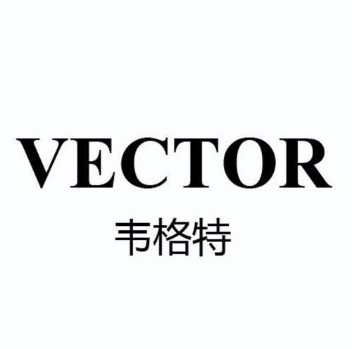  em>韦格特 /em>  em>vector /em>