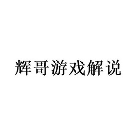 辉哥游戏解说                              