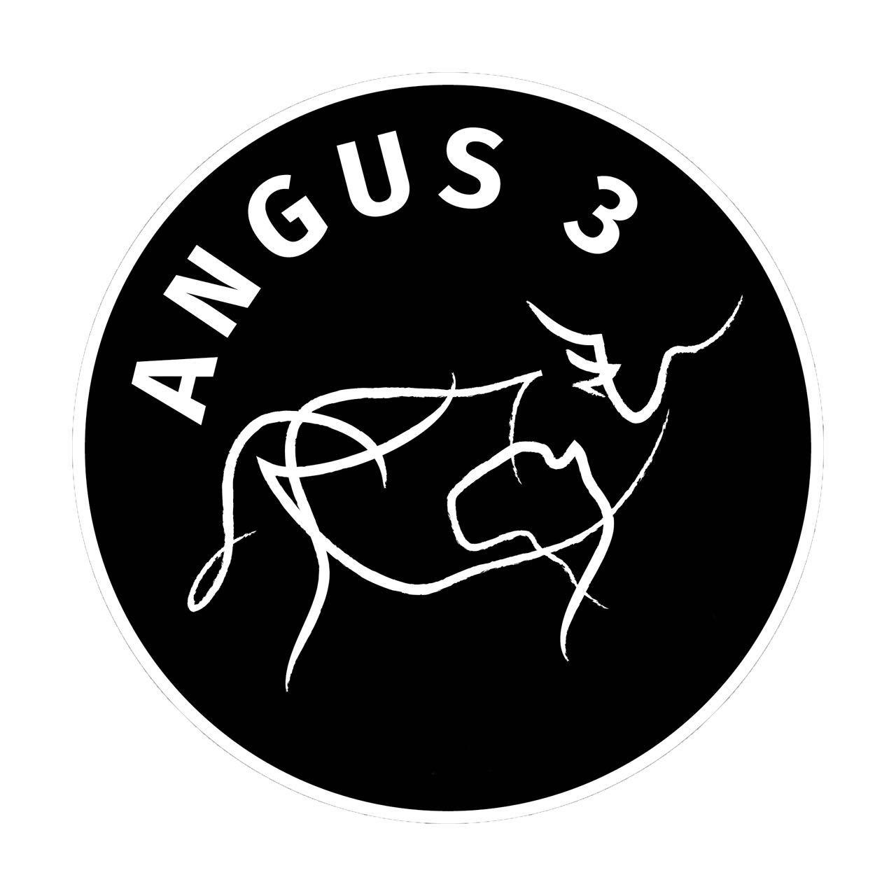 第29类-食品商标申请人:深圳市安格斯叁贸易有限公司办理/代理机构