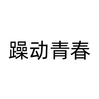 躁动 em>青春 /em>