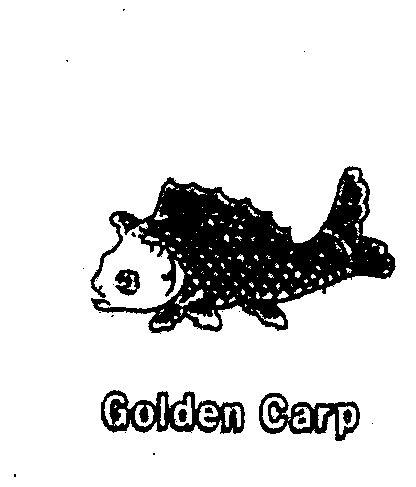  em>golden /em>  em>carp /em>