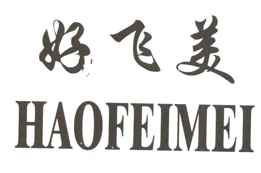 em>好/em>飞美