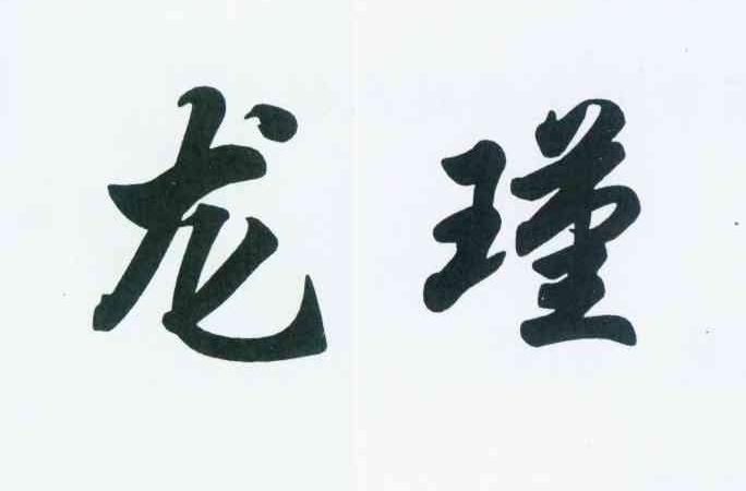 em>龙瑾/em>