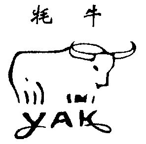  em>牦牛 /em>  em>yak /em>