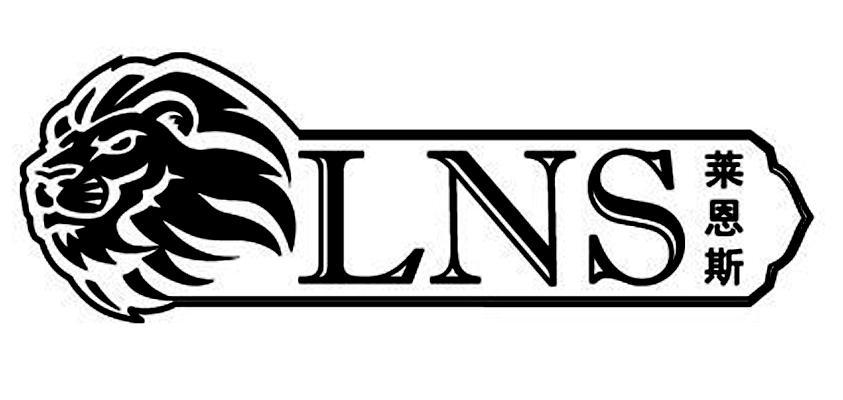  em>莱恩斯 /em>  em>lns /em>