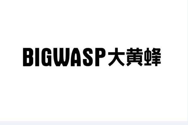 大黄蜂  em>big /em> em>wasp /em>