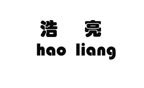 浩亮等待实质审查申请/注册号:42898080申请日期:2019