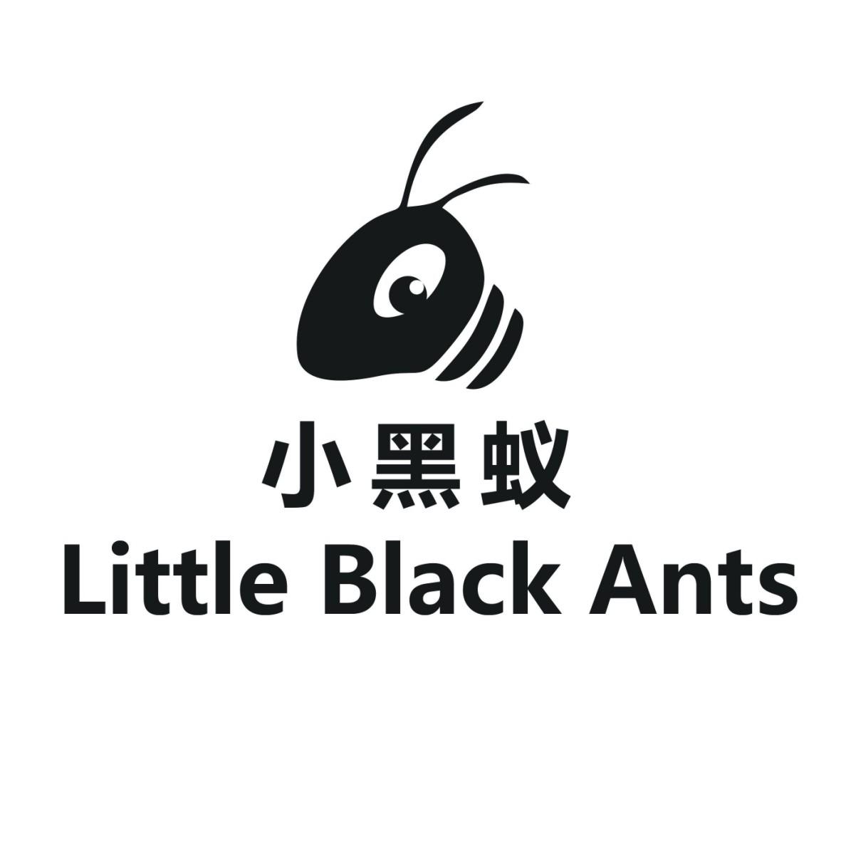 em>小黑蚁/em em>little/em em>blackants/em>