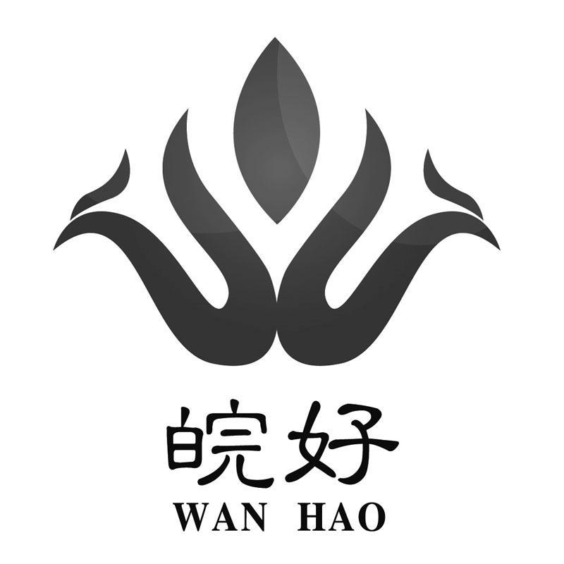  em>皖 /em> em>好 /em>