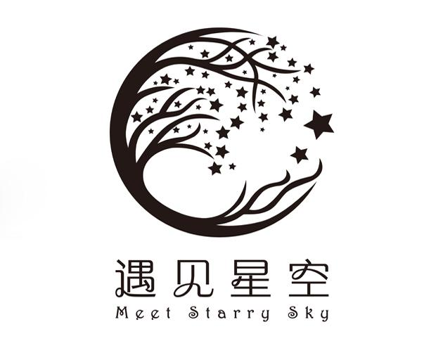 遇见星空  em>meet /em> starry  em>sky /em>