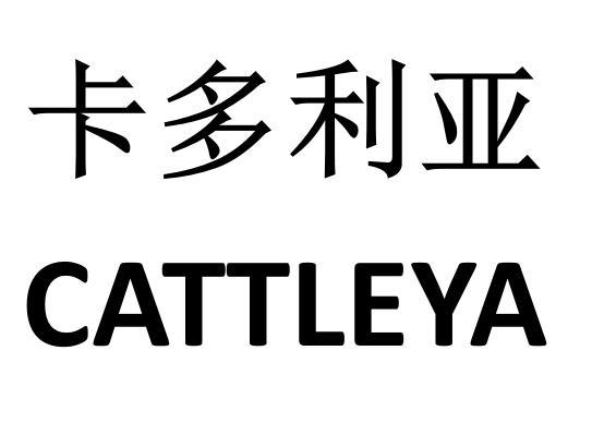 em>卡多利亚/em em>cattleya/em>