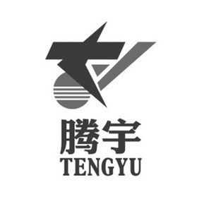 腾宇 商标注册申请