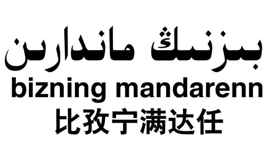 比孜 em>寧滿 /em>達任bizningmandarenn