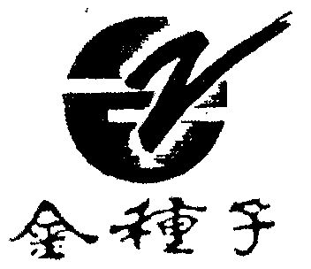 金种子