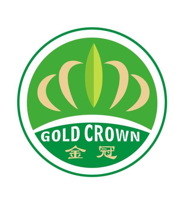 金冠 gold crown                           