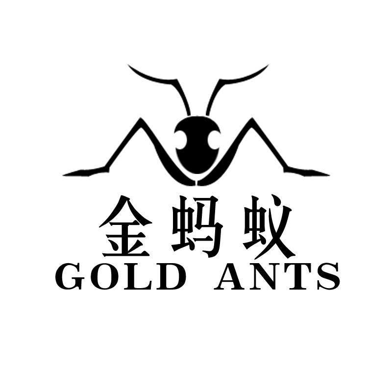  em>金蚂蚁 /em> gold ants