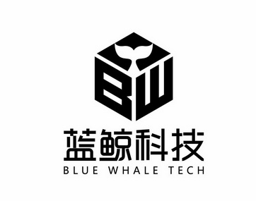 蓝鲸科技 blue  em
